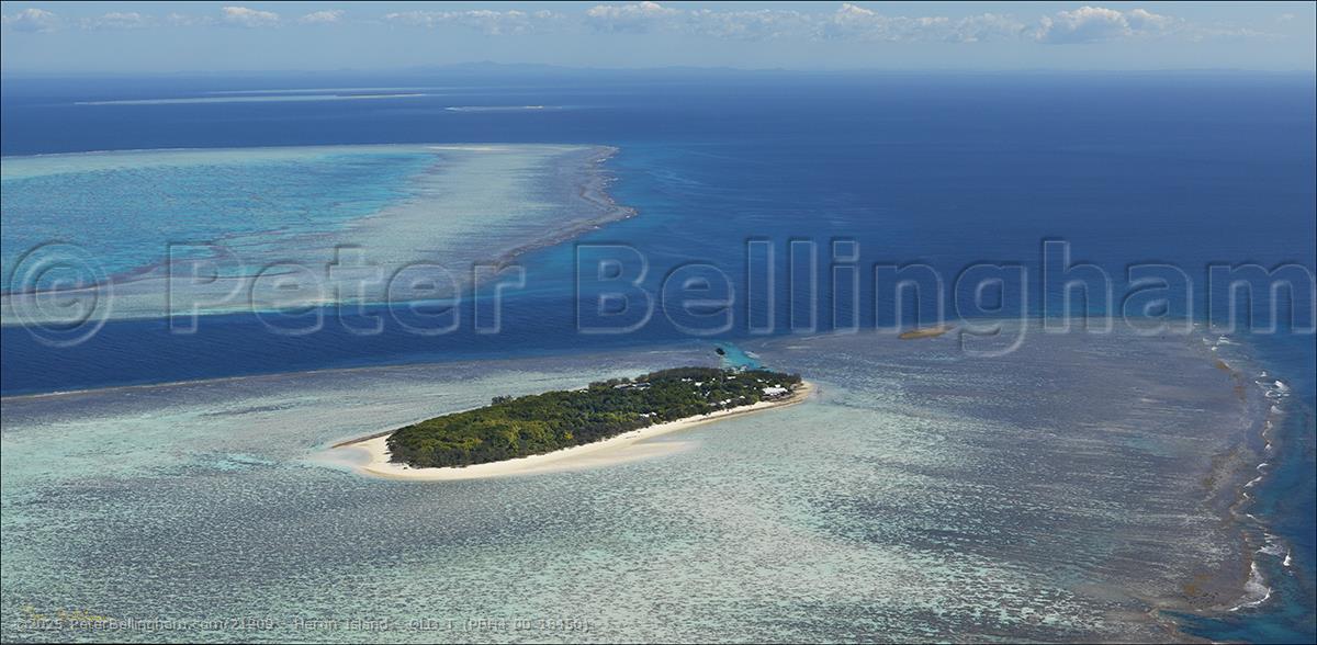 Peter Bellingham Photography Heron Island - QLD T (PBH4 00 18450)